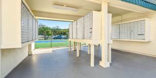 Buena Vista Gallery 99