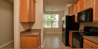 2BD/2BA in Britton Falls - a Del Web Community! Gallery 5