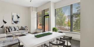 Thayer & Spring Gallery 5