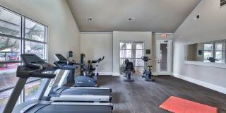 Saddle Creek Gallery 4