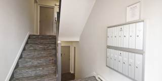 The Taylor Gallery 47