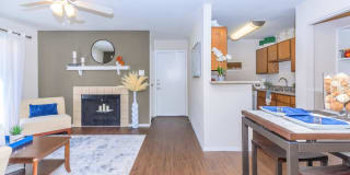 Autumn Wood Gallery 2