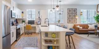 Terracina Gallery 26