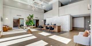 Remi Gallery 30