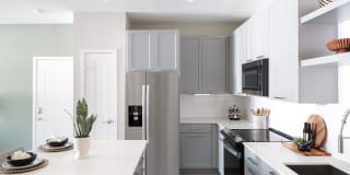 Aventon Isabelle Gallery 40