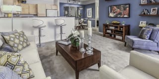 Ashley Park in Brier Creek Gallery 8