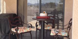 WINTER RENTAL 2026-2027 Gallery 56