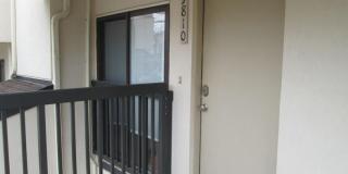 Adorable  second level Studio Condo available mid September! Gallery 1