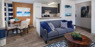 Canopy at Baybrook Canopy at Baybrook Gallery 16