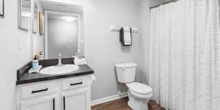 Albany Landings Gallery 20