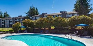 Black Lake Gallery 9