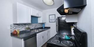 Fifteen 50 Gallery 7