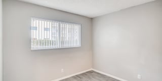 Spectra Palms Gallery 15