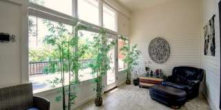 719 Oak Hollow Dr Gallery 30