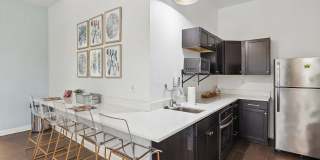 Trotters Park Gallery 14