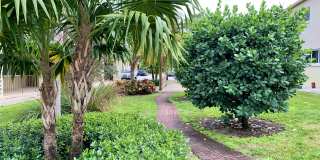 Cynthia Gardens Gallery 3