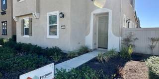 2048 Brave Hawk Loop Gallery 1
