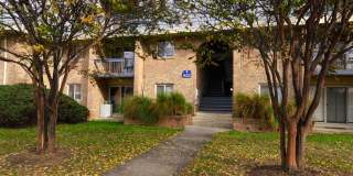 Crystal Springs Gallery 38