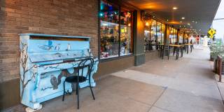 Mihir Taylor Gallery 39