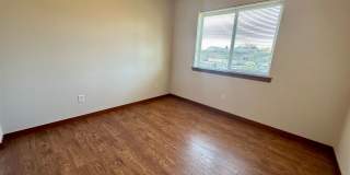 PI5831 Gallery 17