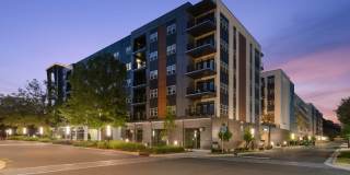 900 Willow Gallery 52