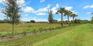 533 Ilaria Ct Gallery 25