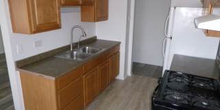 8647 1/2 W Foster Ave Apt 1B Gallery 7