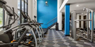 Alleia Presidio Gallery 16