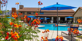 Carrington Oaks Gallery 47