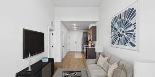 The Navigator The Navigator Gallery 27