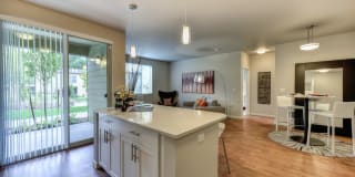 Madison Bellevue Gallery 5