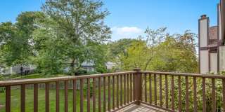 164 White Branch Court Gallery 28