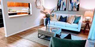Lake in The Woods Gallery 1