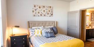 Anatole on Briarwood Gallery 32