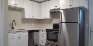 Terra at Ashley Gallery 1