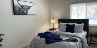 Springtree Gallery 10