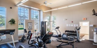 Alexis at Perry Pointe Gallery 35