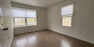 577 Windsor Drive 702 Gallery 17