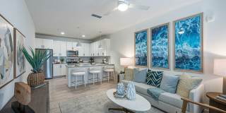 Elevate Navarre Elevate Navarre Gallery 4