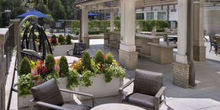 Camden Carolinian Gallery 19