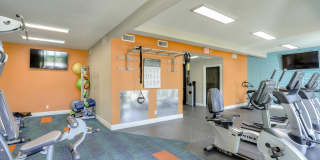 4200 Paradise Gallery 29