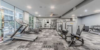 Anthem Cityline Gallery 33