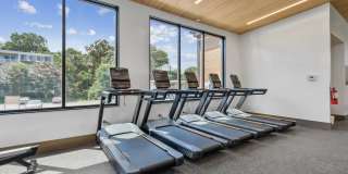 Halpine View Gallery 26