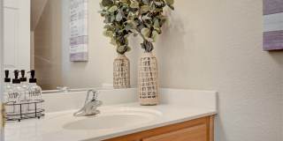 10145 MALIBU CREEK Court Gallery 21