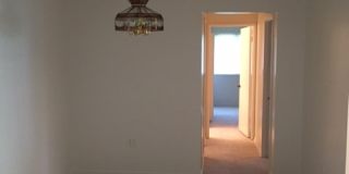 8709 Hayshed Lane Gallery 5