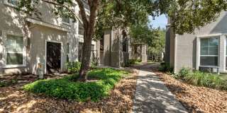 Kings Cove Gallery 2
