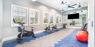 Belmont Park West Gallery 26