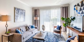 Avana Eastlake Gallery 12