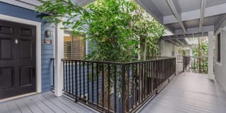 Fountain Lake Bradenton Gallery 38