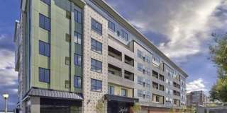 250 AVENUE E Gallery 1